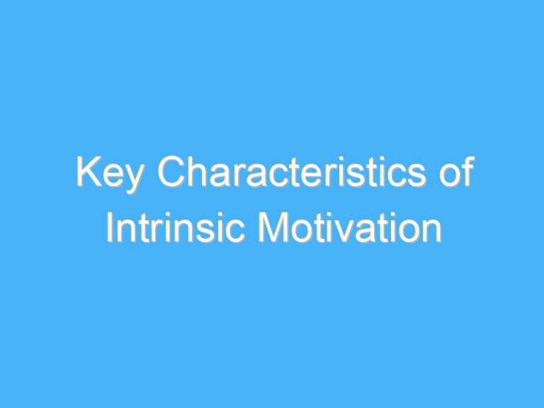 Key Characteristics of Intrinsic Motivation