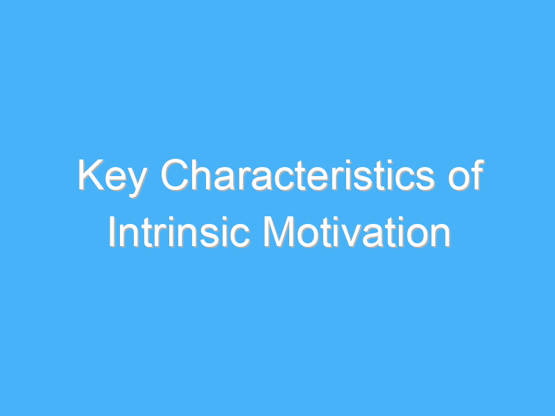 key characteristics of intrinsic motivation 1872 3