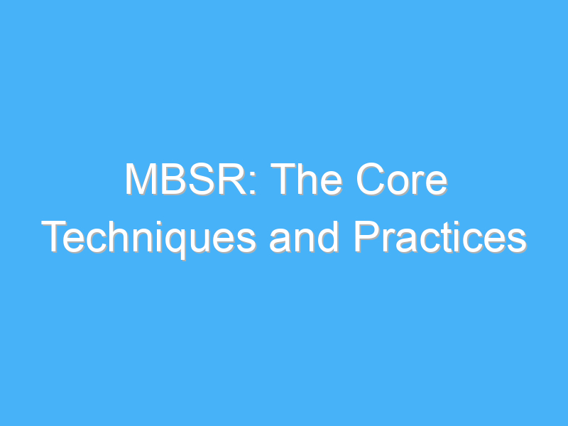 mbsr the core techniques and practices 2771