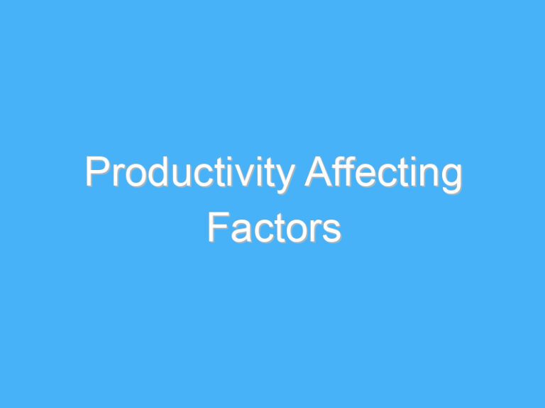 Productivity Affecting Factors