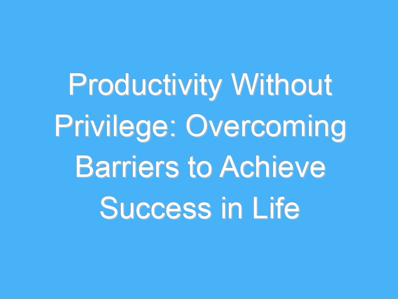 productivity without privilege overcoming barriers to achieve success in life 1135