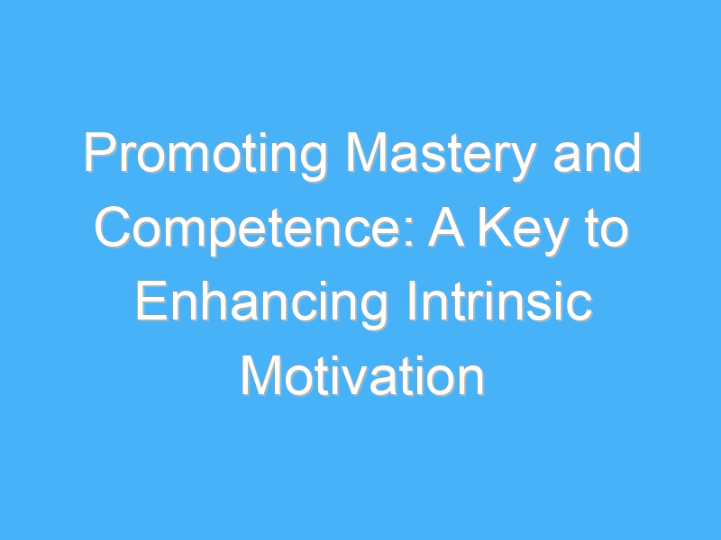 promoting mastery and competence a key to enhancing intrinsic motivation 2442 1
