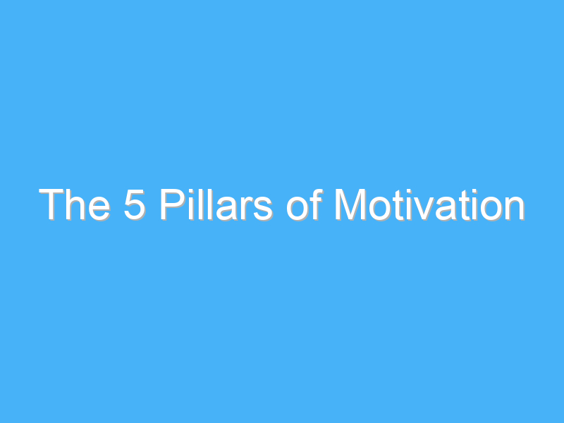 the 5 pillars of motivation 235