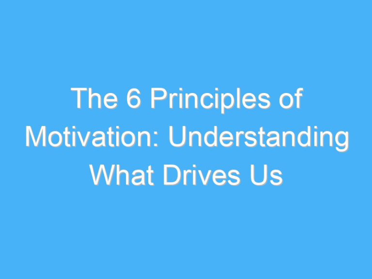 The 6 Principles of Motivation: Understanding What Drives Us