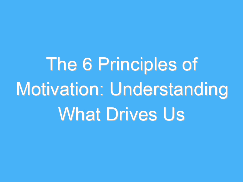 the 6 principles of motivation understanding what drives us 430