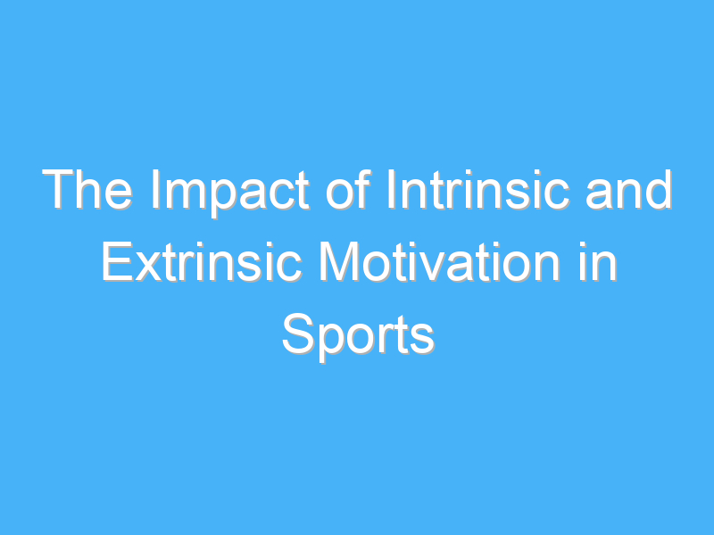the impact of intrinsic and extrinsic motivation in sports 3017