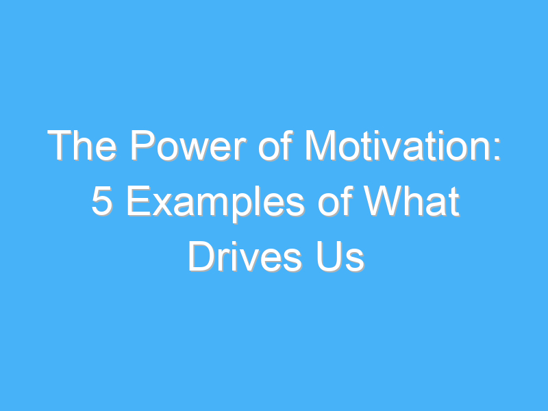 the power of motivation 5 examples of what drives us 226