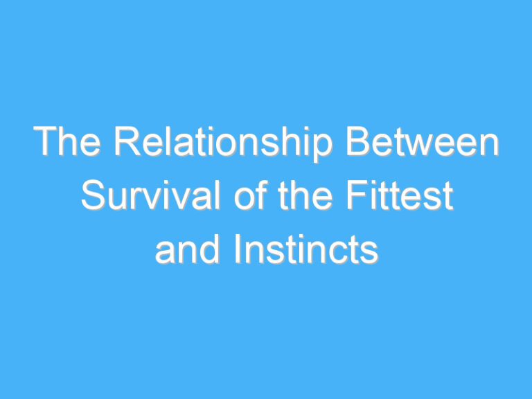 The Relationship Between Survival of the Fittest and Instincts