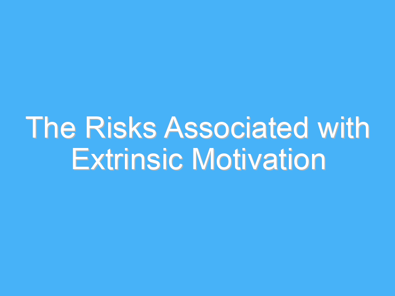 the risks associated with extrinsic motivation 2655 1