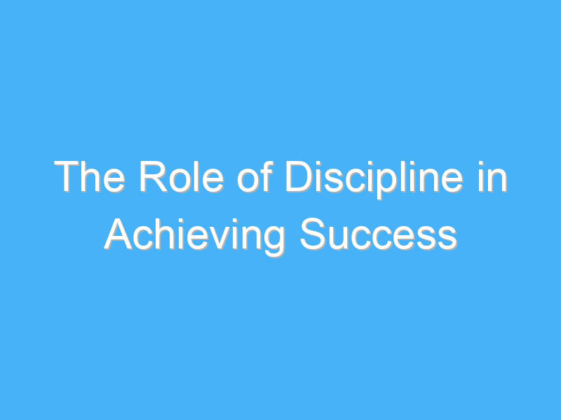 the role of discipline in achieving success 3263