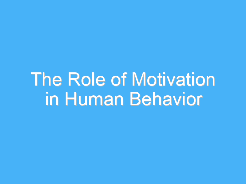 the role of motivation in human behavior 2836 1