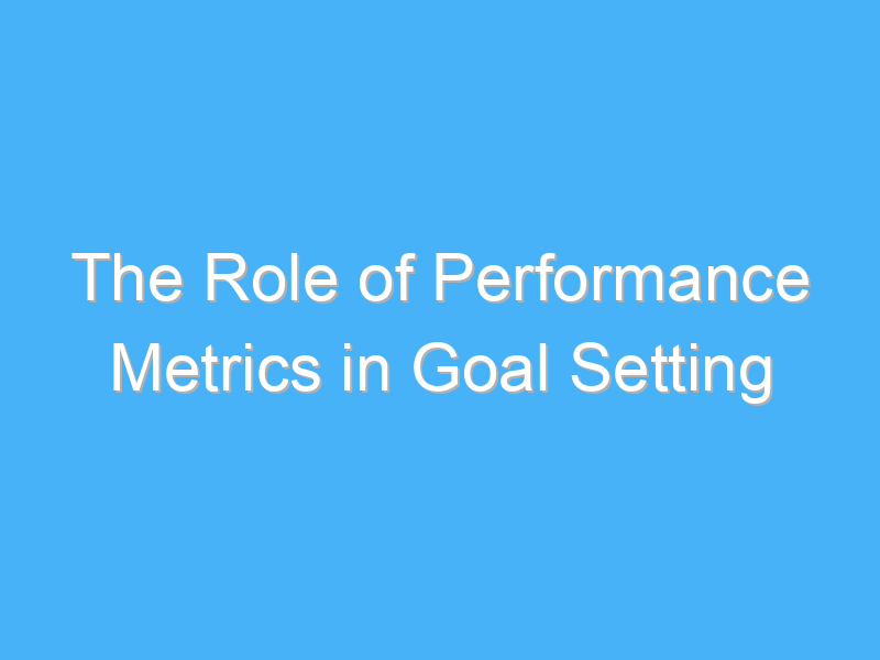 the role of performance metrics in goal setting 2305