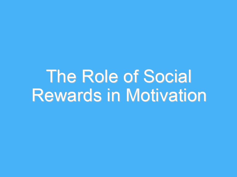 The Role of Social Rewards in Motivation