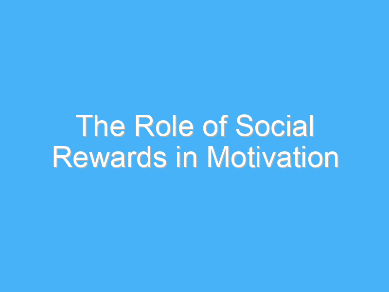the role of social rewards in motivation 3142 1