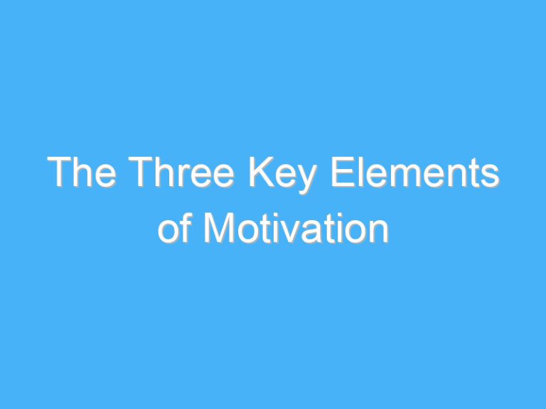 The Three Key Elements of Motivation