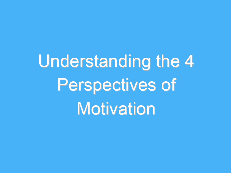 understanding the 4 perspectives of motivation 214
