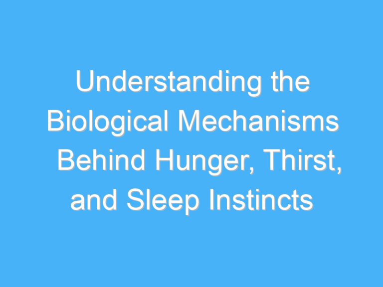 Understanding the Biological Mechanisms Behind Hunger, Thirst, and Sleep Instincts