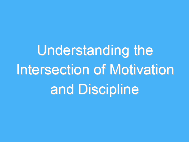 understanding the intersection of motivation and discipline 2870 2