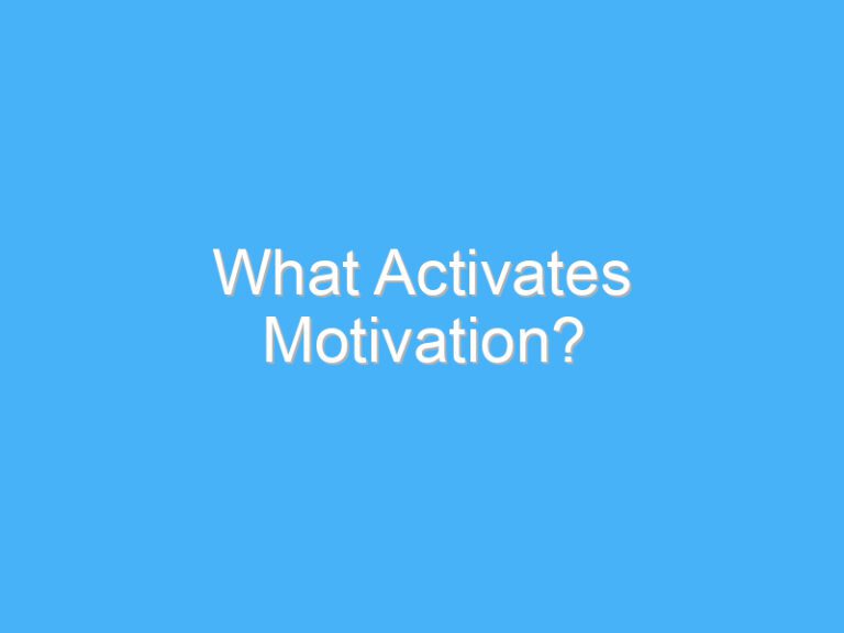 What Activates Motivation?