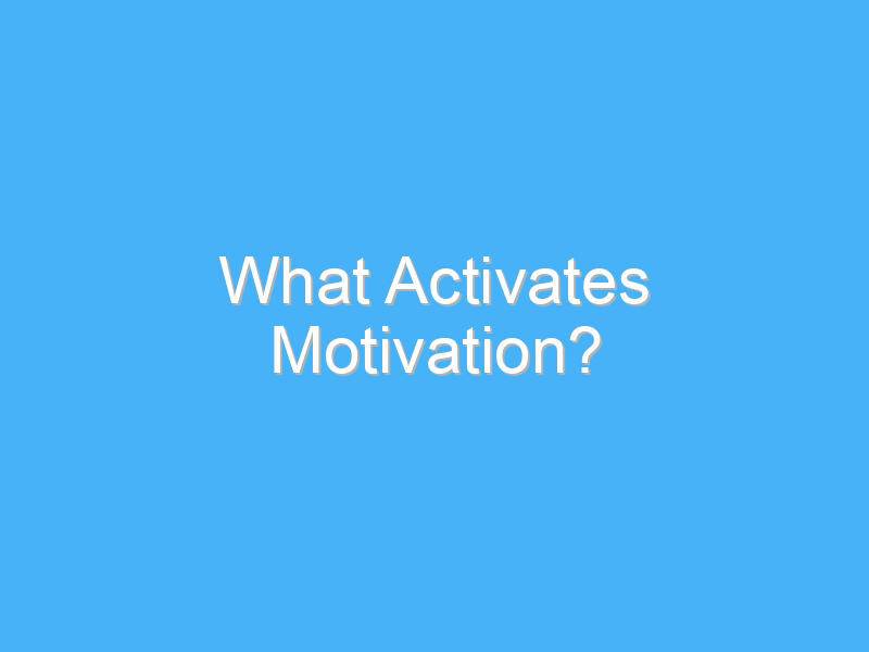 what activates motivation 556