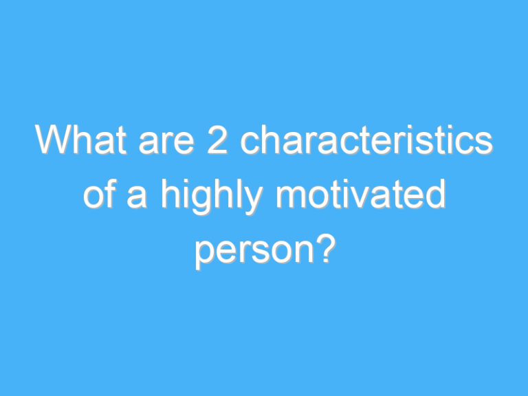 What are 2 characteristics of a highly motivated person?