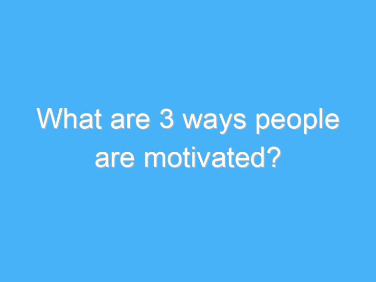 What are 3 ways people are motivated?
