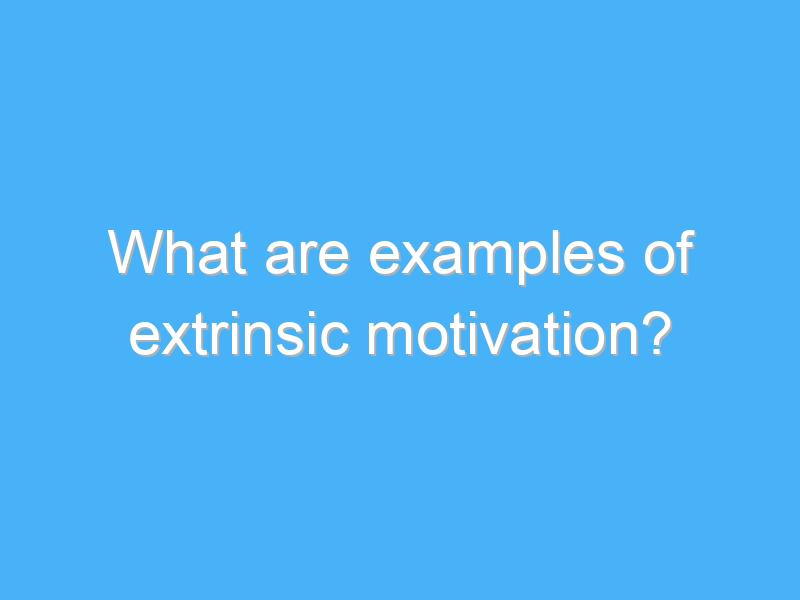 what are examples of extrinsic motivation 2171