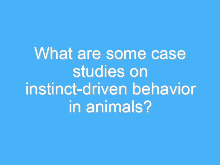 What are some case studies on instinct-driven behavior in animals?