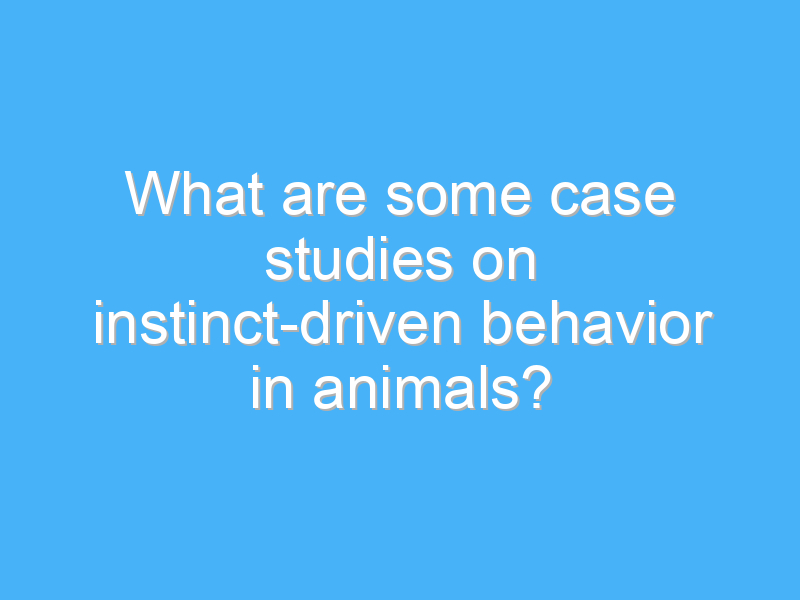 what are some case studies on instinct driven behavior in animals 2154