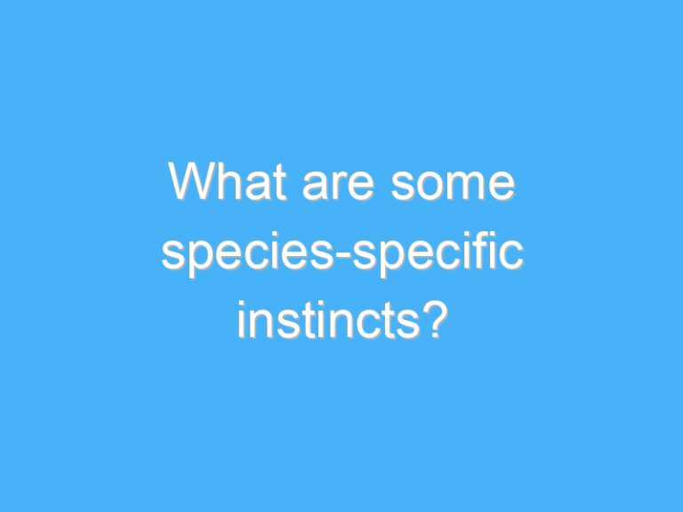What are some species-specific instincts?