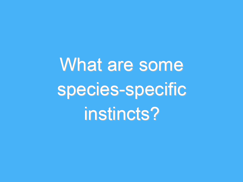 what are some species specific instincts 2321