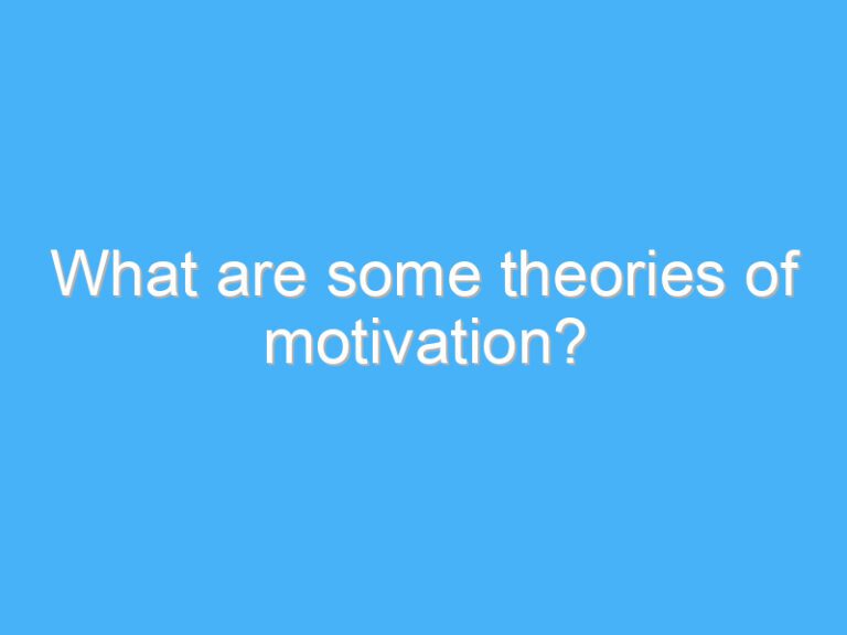 What are some theories of motivation?
