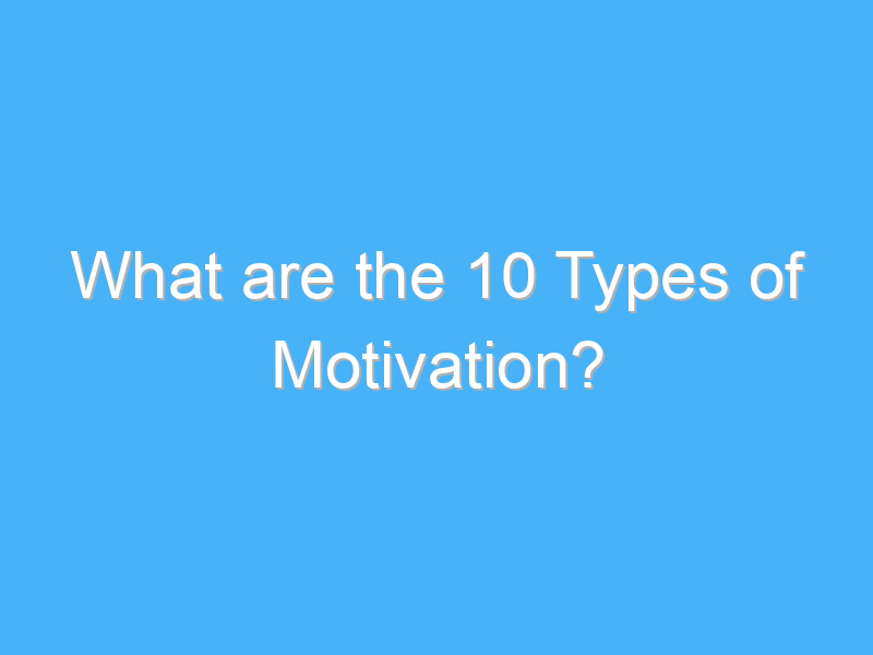 what are the 10 types of motivation 541
