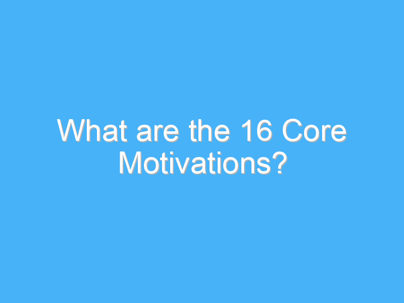 what are the 16 core motivations 457