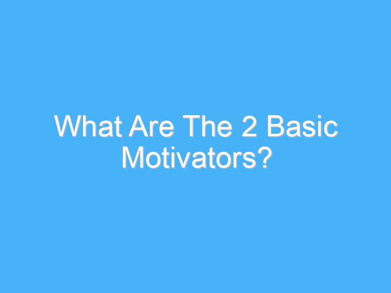 What Are The 2 Basic Motivators?