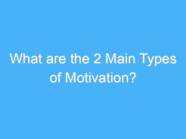What are the 2 Main Types of Motivation?
