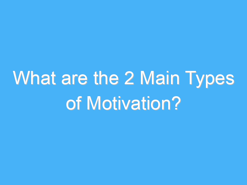 what are the 2 main types of motivation 425