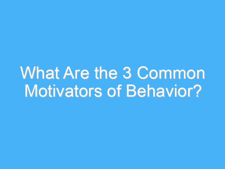 What Are the 3 Common Motivators of Behavior?