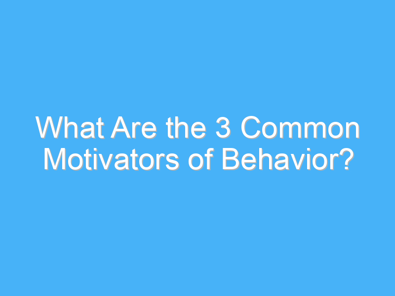what are the 3 common motivators of behavior 500