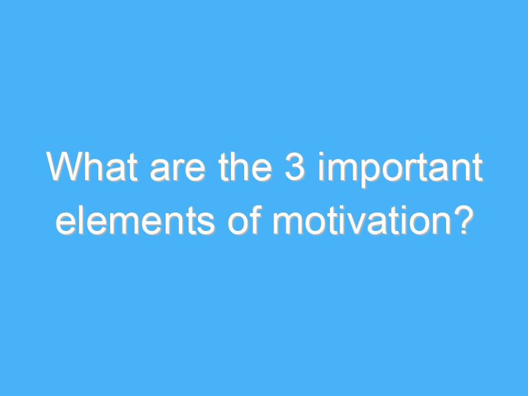 What are the 3 important elements of motivation?