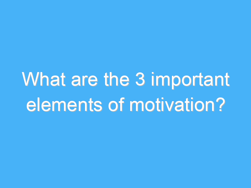 what are the 3 important elements of motivation 132