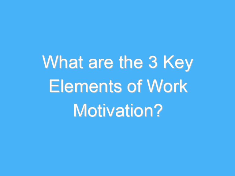 What are the 3 Key Elements of Work Motivation?