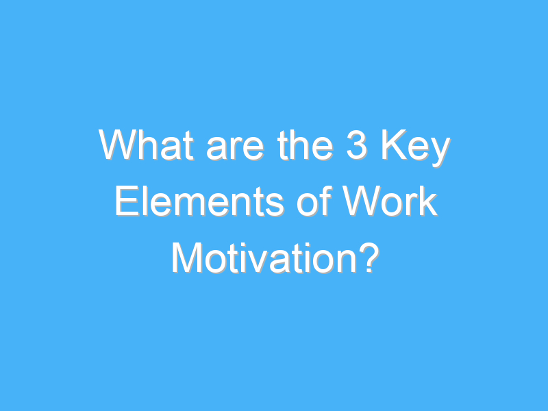 what are the 3 key elements of work motivation 310