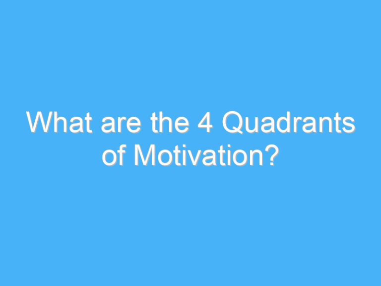 What are the 4 Quadrants of Motivation?