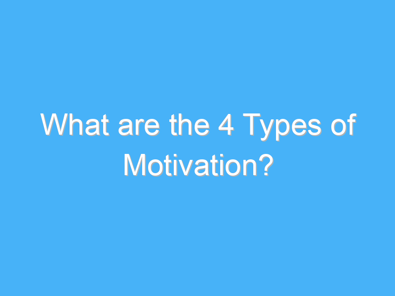 what are the 4 types of motivation 2 590