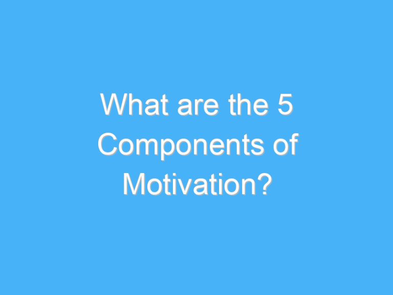 What are the 5 Components of Motivation?