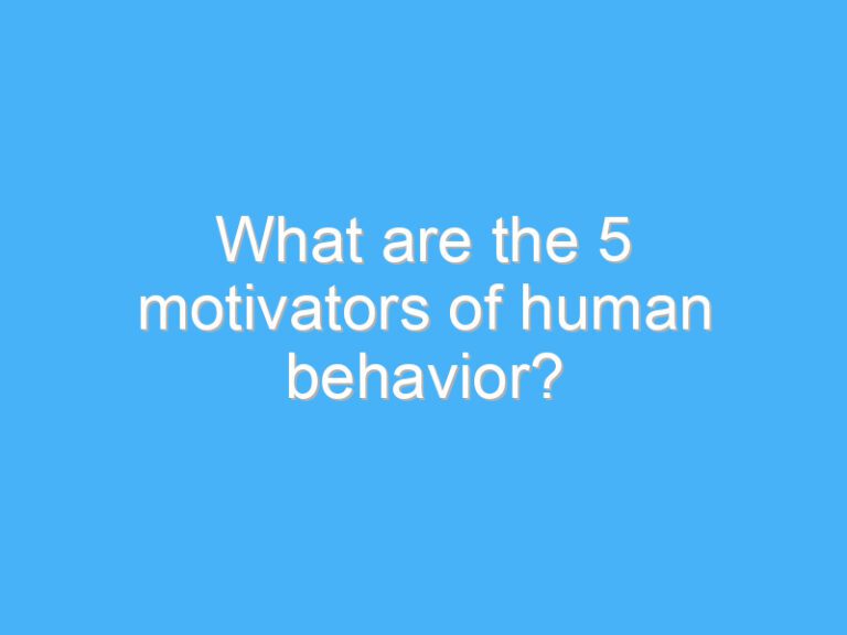 What are the 5 motivators of human behavior?