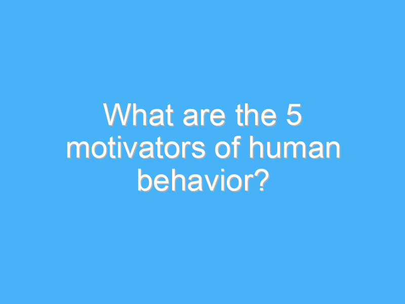 what are the 5 motivators of human behavior 449