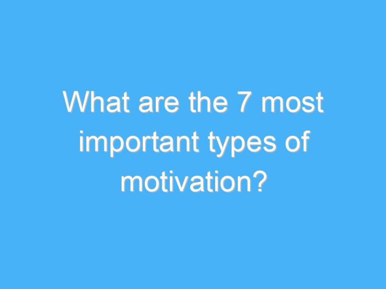 What are the 7 most important types of motivation?