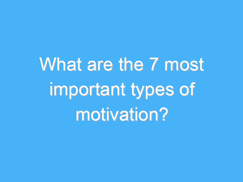 what are the 7 most important types of motivation 360